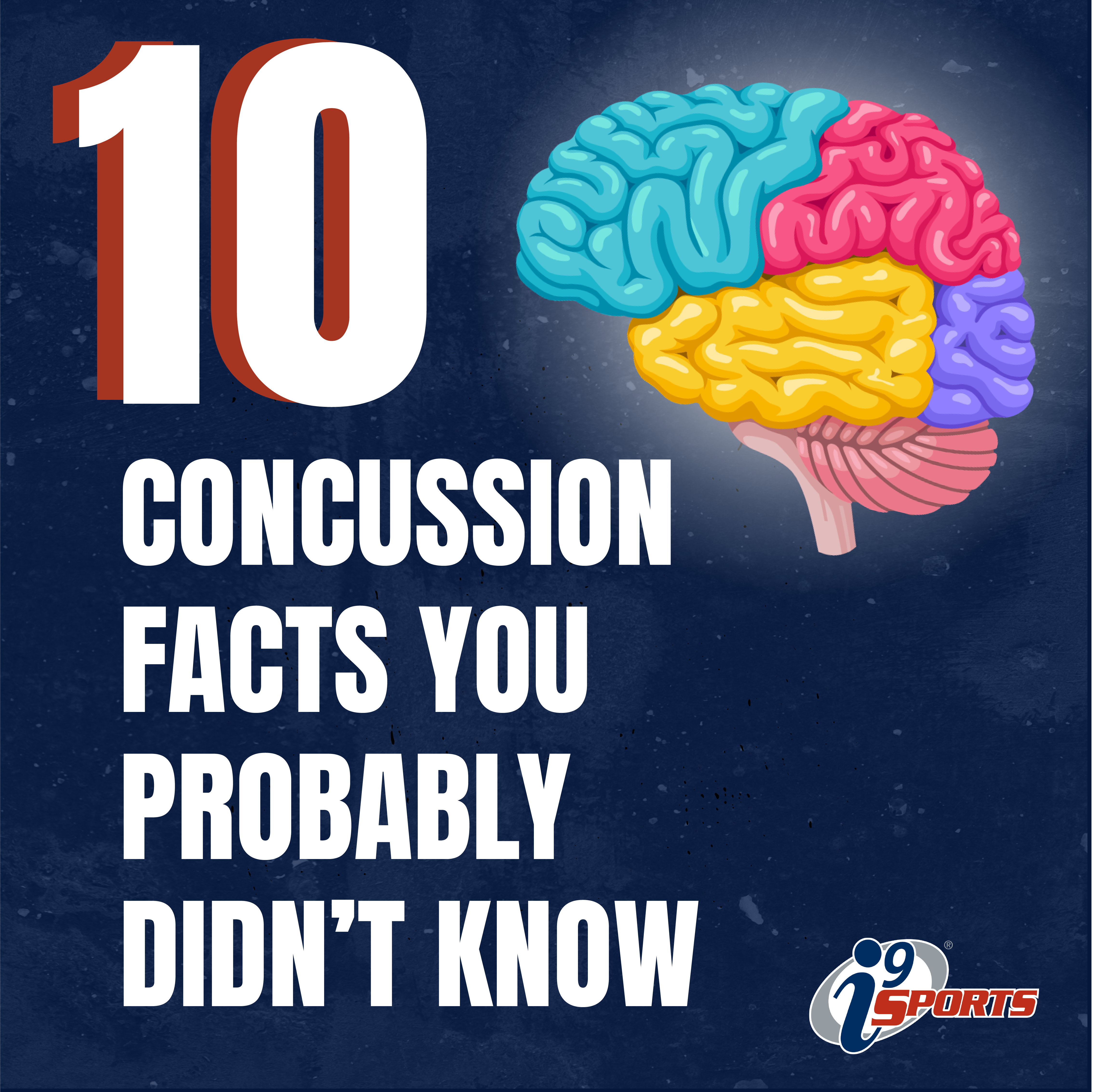 洋書 Neuropsychology of Sports-Related Concus Neuropsychology of Sports-Related Concussion